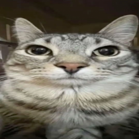 Foto del perfil de G0viid