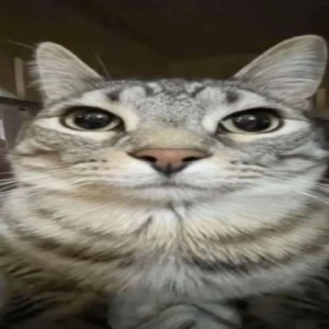 Foto del perfil de G0viid