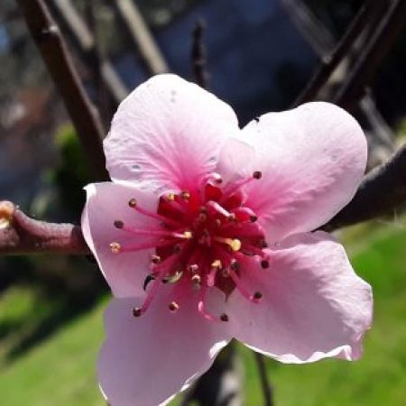 Foto del perfil de Pipe*88