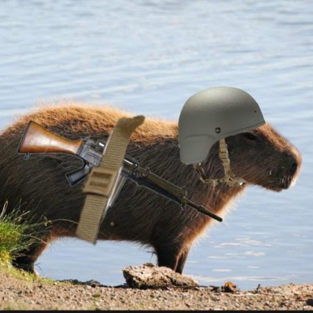 Foto del perfil de Kyracs