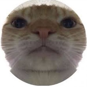 Foto del perfil de skibidi