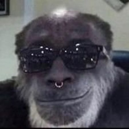 Foto del perfil de alexsalazartapia2003