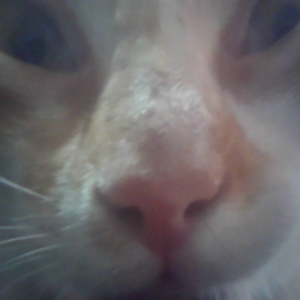 Foto del perfil de mattHD007