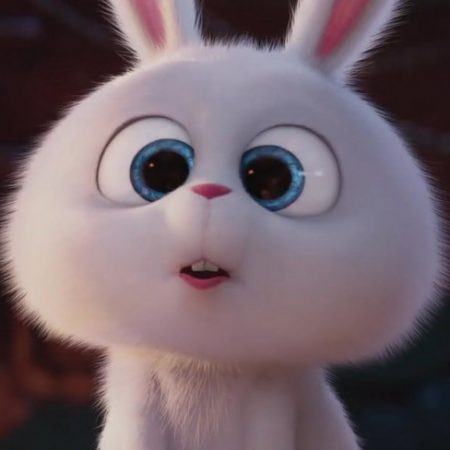 Foto del perfil de rayquaza