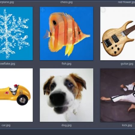 Foto del perfil de todos