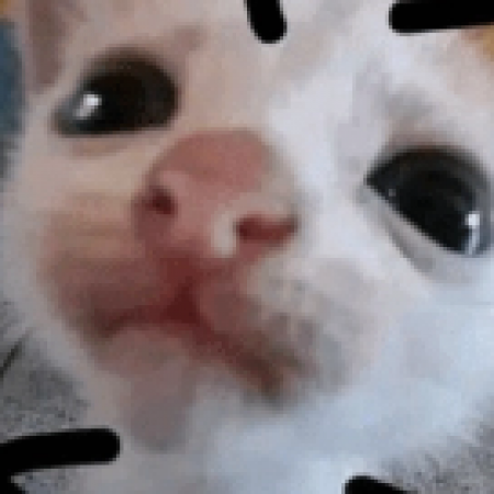 Foto del perfil de Godpantrick