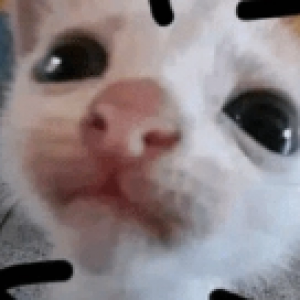 Foto del perfil de Godpantrick